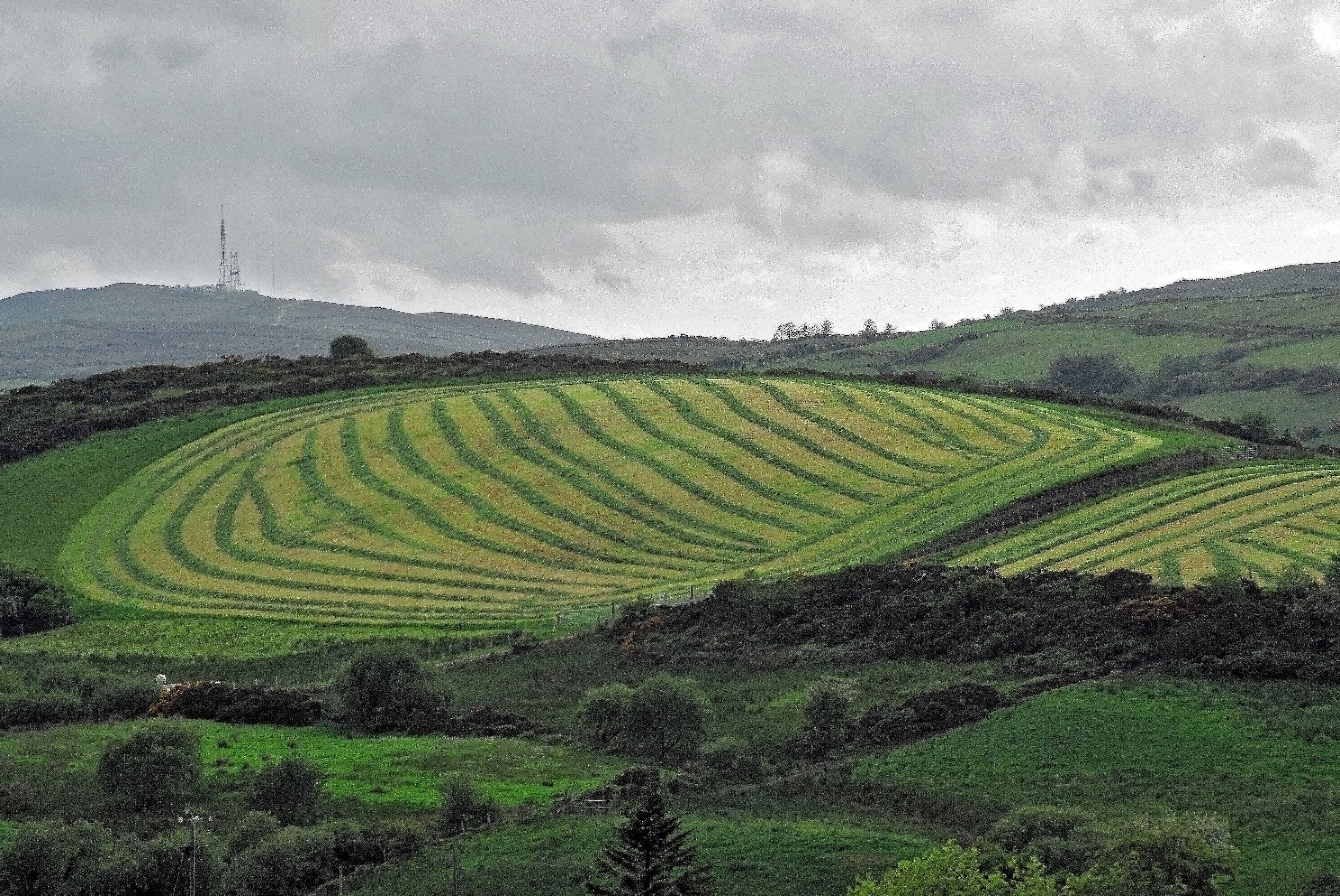 528630805_bc3394598e_o